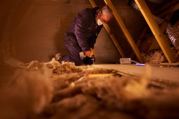 Best Cellulose Insulation in Walnut Cove, NC